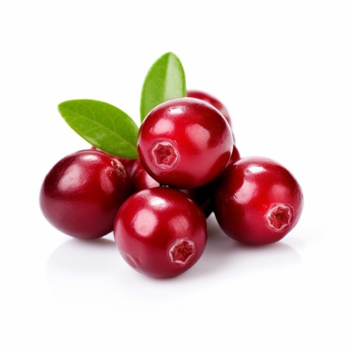 Żurawina STEVENS wielkoowocowa sadzonki, bagienna