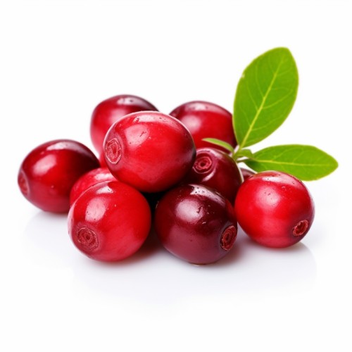 Żurawina wielkoowocowa sadzonki, bagienna PILGRIM