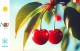 Wiśnia kolumnowa NANA drzewo - pospolita, prunus cerasus
