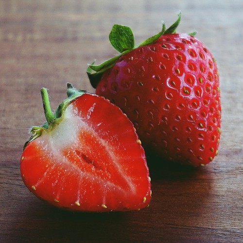 Truskawka POLKA sadzonki w doniczce - obfity plon